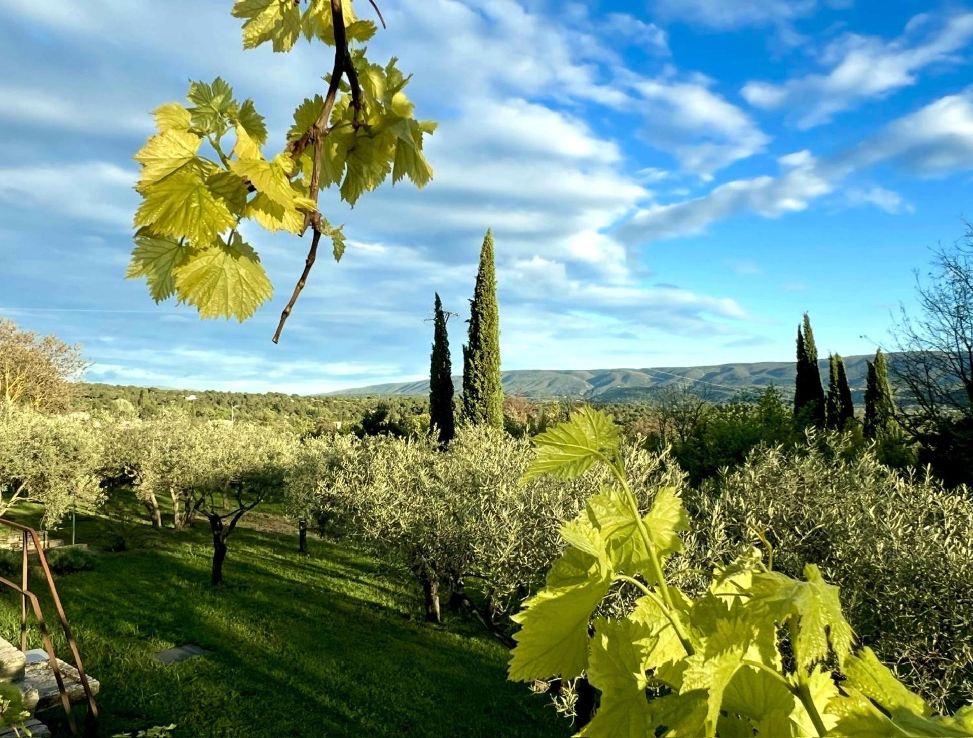 Provence Km28 Bed and Breakfast Gordes Buitenkant foto