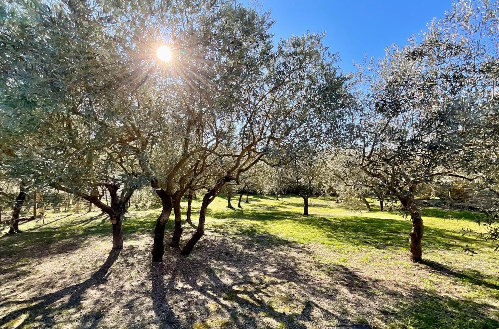 Provence Km28 Bed and Breakfast Gordes Buitenkant foto