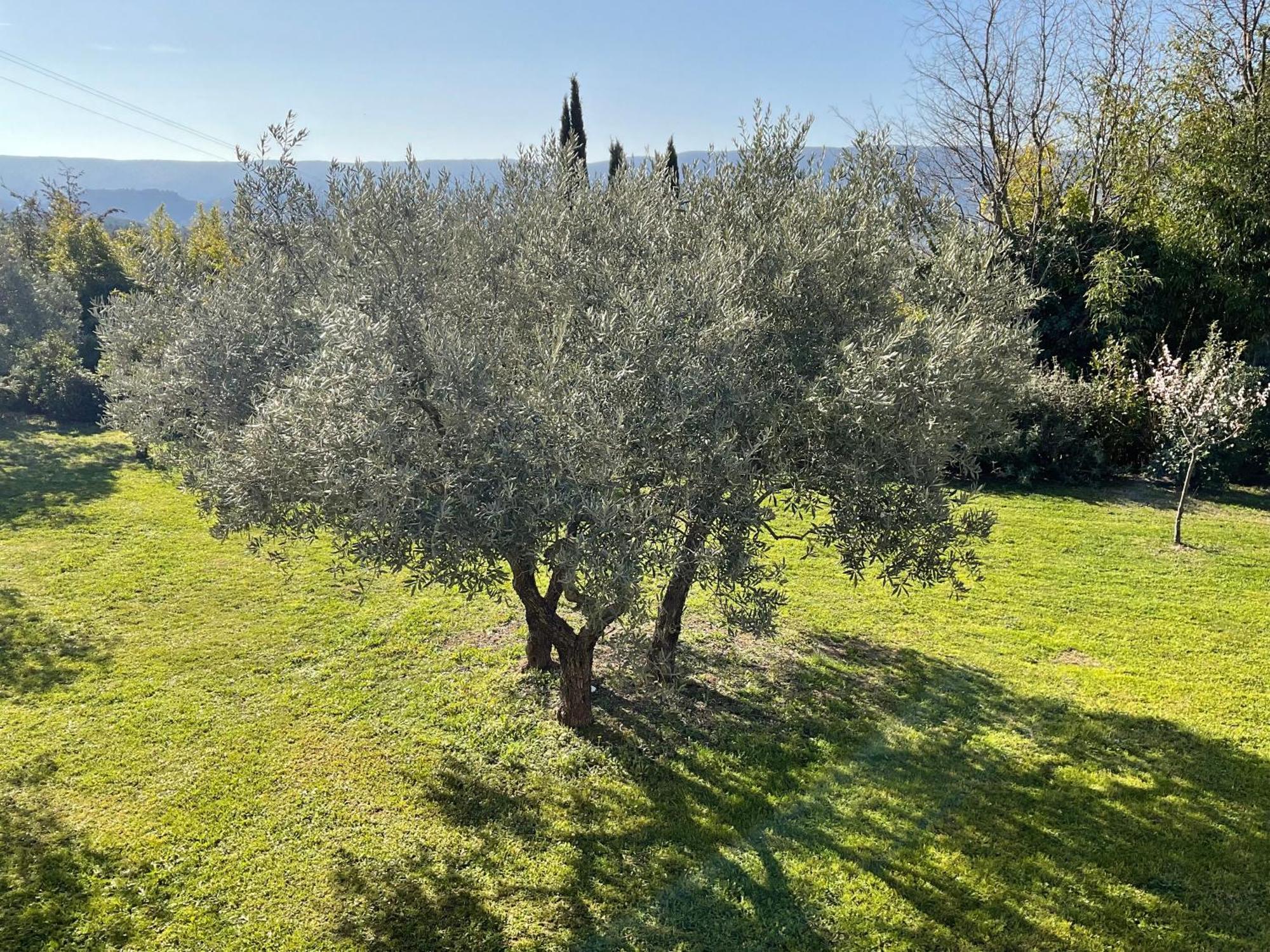 Provence Km28 Bed and Breakfast Gordes Buitenkant foto