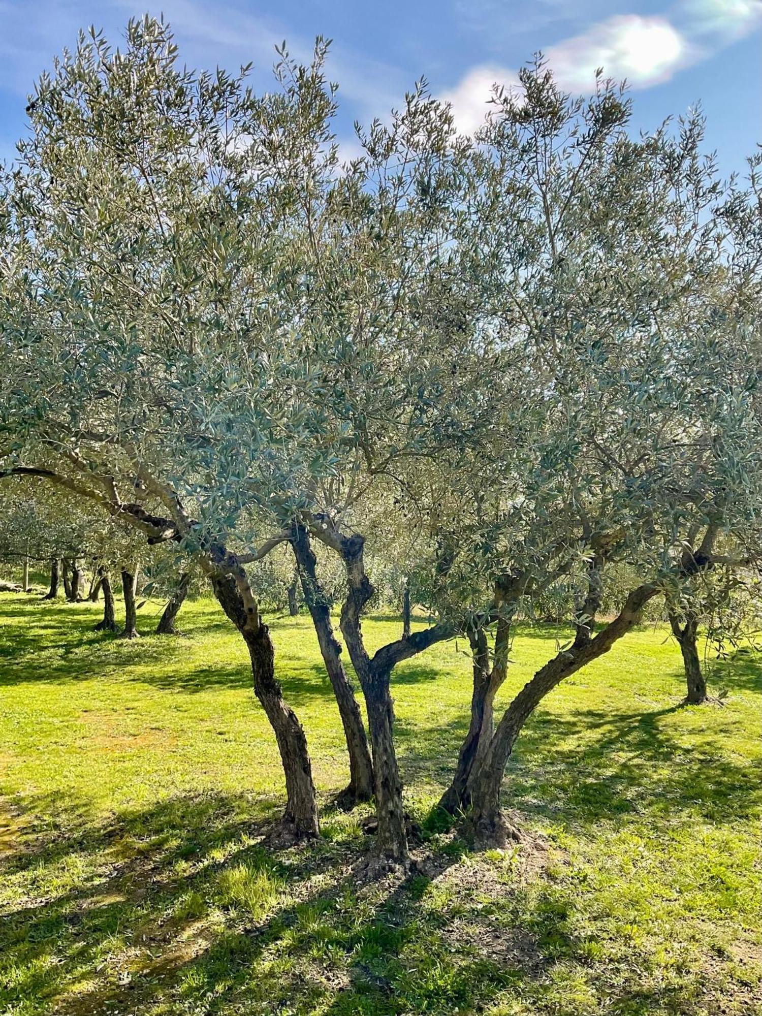 Provence Km28 Bed and Breakfast Gordes Buitenkant foto