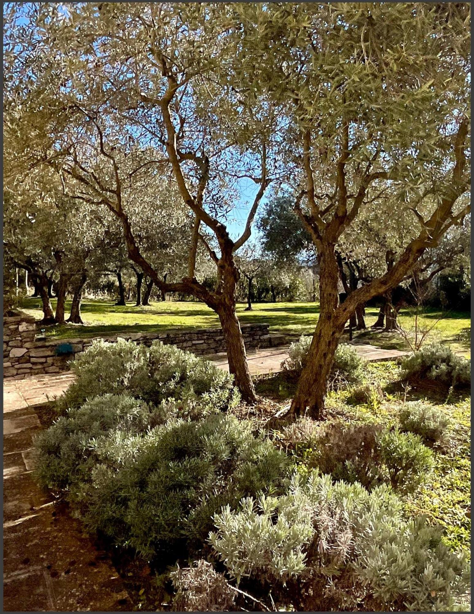 Provence Km28 Bed and Breakfast Gordes Buitenkant foto